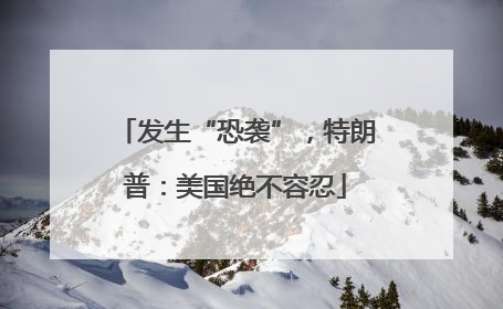发生“恐袭”，特朗普：美国绝不容忍