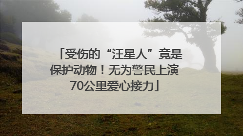 受伤的“汪星人”竟是保护动物！无为警民上演70公里爱心接力