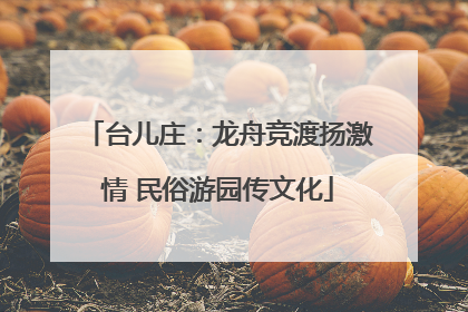 台儿庄：龙舟竞渡扬激情 民俗游园传文化