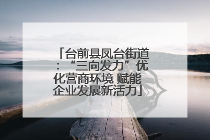 台前县凤台街道：“三向发力”优化营商环境 赋能企业发展新活力