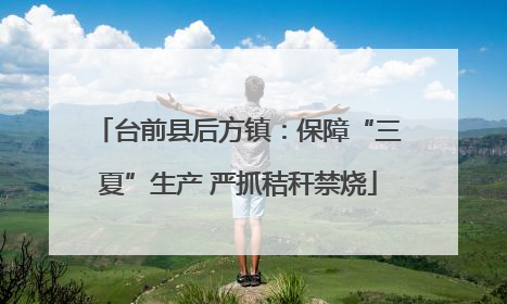 台前县后方镇：保障“三夏”生产 严抓秸秆禁烧