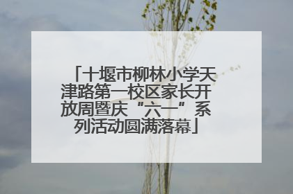 十堰市柳林小学天津路第一校区家长开放周暨庆“六一”系列活动圆满落幕