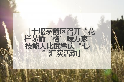 十堰茅箭区召开“花样茅箭‘格’暖万家”技能大比武暨庆“七·一”汇演活动
