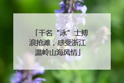 千名“泳”士搏浪抢滩，感受浙江温岭山海风情