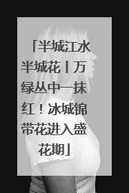 半城江水半城花丨万绿丛中一抹红！冰城锦带花进入盛花期