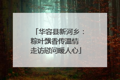 华容县新河乡：粽叶飘香传温情 走访慰问暖人心