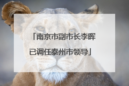 南京市副市长李晖已调任泰州市领导