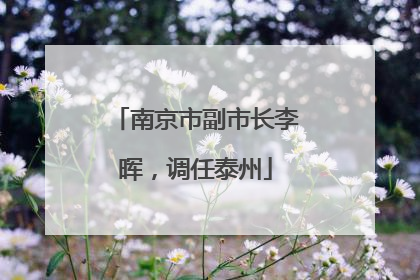 南京市副市长李晖，调任泰州