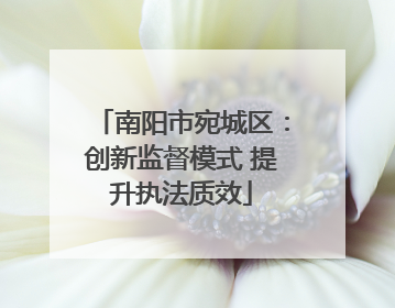 南阳市宛城区：创新监督模式 提升执法质效