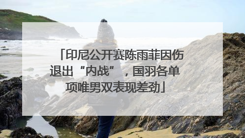 印尼公开赛陈雨菲因伤退出“内战”，国羽各单项唯男双表现差劲