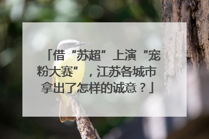借“苏超”上演“宠粉大赛”，江苏各城市拿出了怎样的诚意？