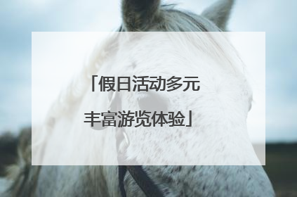 假日活动多元 丰富游览体验