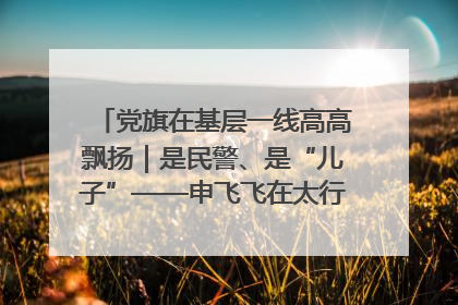 党旗在基层一线高高飘扬｜是民警、是“儿子”——申飞飞在太行山中的一线坚守
