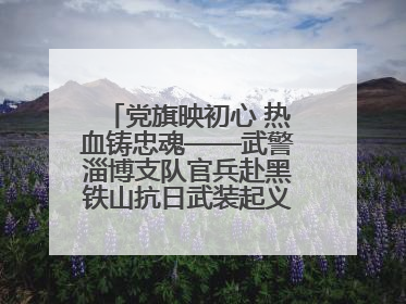 党旗映初心 热血铸忠魂——武警淄博支队官兵赴黑铁山抗日武装起义纪念馆开展“七一”主题党日活动