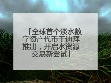 全球首个淡水数字资产代币于迪拜推出，开启水资源交易新尝试