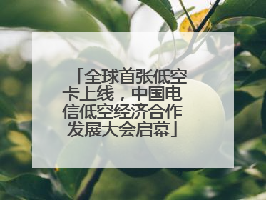 全球首张低空卡上线，中国电信低空经济合作发展大会启幕