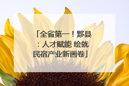 全省第一！黟县：人才赋能 绘就民宿产业新画卷