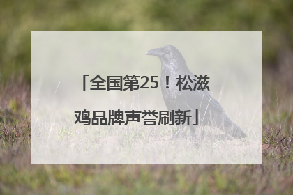 全国第25！松滋鸡品牌声誉刷新