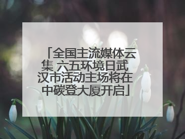 全国主流媒体云集 六五环境日武汉市活动主场将在中碳登大厦开启