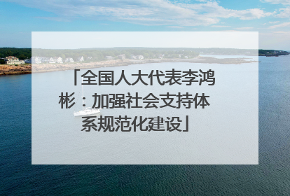 全国人大代表李鸿彬：加强社会支持体系规范化建设