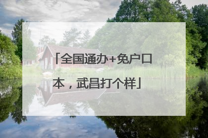 全国通办+免户口本，武昌打个样