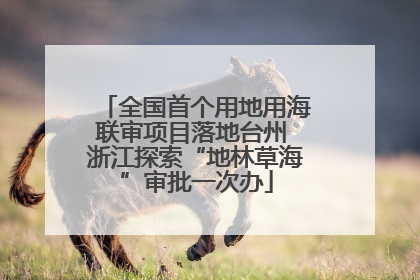 全国首个用地用海联审项目落地台州 浙江探索“地林草海”审批一次办