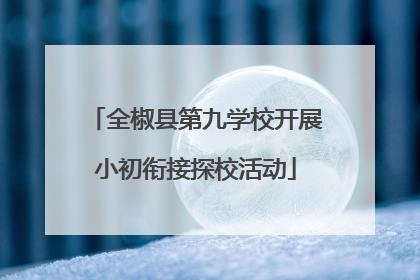 全椒县第九学校开展小初衔接探校活动