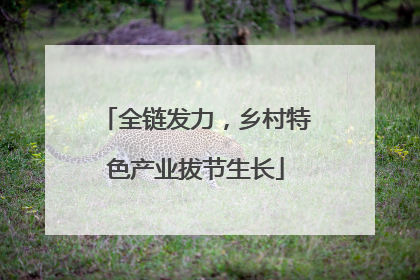 全链发力，乡村特色产业拔节生长