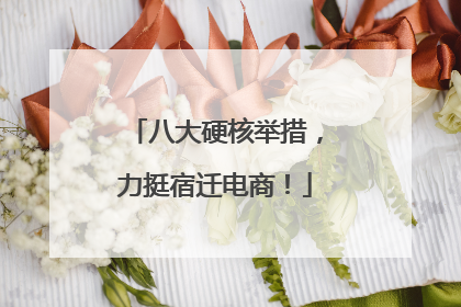 八大硬核举措，力挺宿迁电商！