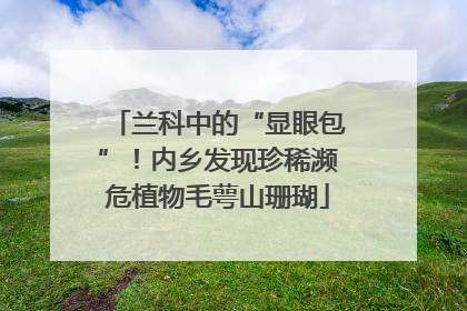 兰科中的“显眼包”！内乡发现珍稀濒危植物毛萼山珊瑚