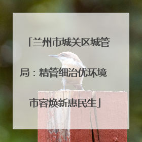 兰州市城关区城管局：精管细治优环境 市容焕新惠民生