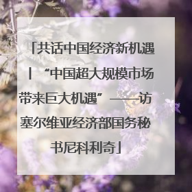 共话中国经济新机遇丨“中国超大规模市场带来巨大机遇”——访塞尔维亚经济部国务秘书尼科利奇