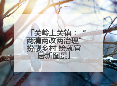 关岭上关镇：“两清两改两治理”扮靓乡村 绘就宜居新图景