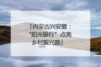 内蒙古兴安盟：“阳光银行”点亮乡村振兴路