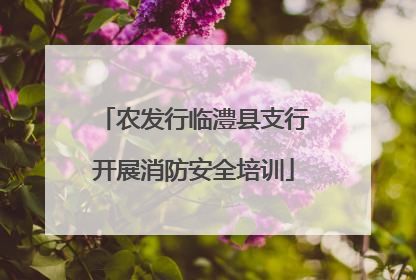 农发行临澧县支行开展消防安全培训