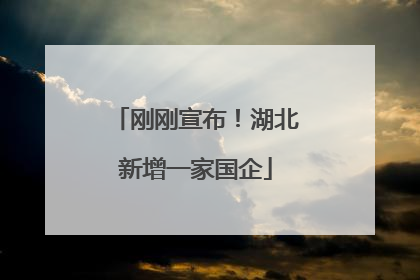 刚刚宣布！湖北新增一家国企
