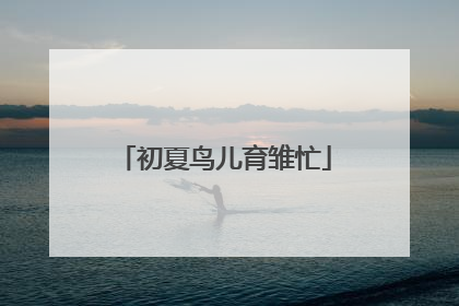 初夏鸟儿育雏忙
