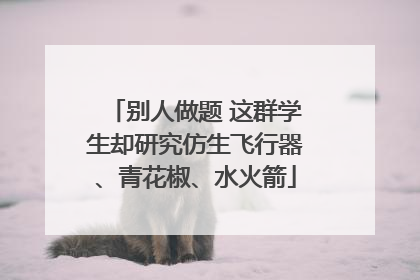 别人做题 这群学生却研究仿生飞行器、青花椒、水火箭