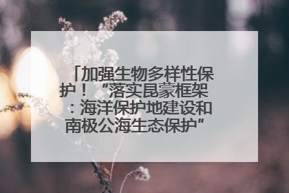 加强生物多样性保护！“落实昆蒙框架：海洋保护地建设和南极公海生态保护”主题论坛将举办