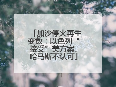 加沙停火再生变数：以色列“接受”美方案、哈马斯不认可