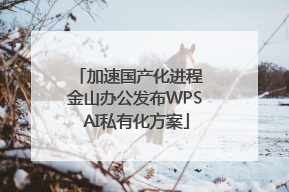 加速国产化进程 金山办公发布WPS AI私有化方案