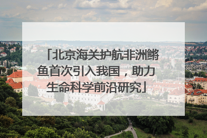 北京海关护航非洲鳉鱼首次引入我国，助力生命科学前沿研究