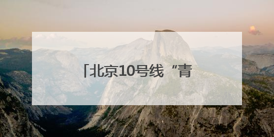 北京10号线“青创村”变身“萌宠欢乐谷” 以宠会友解锁青年社交新范式