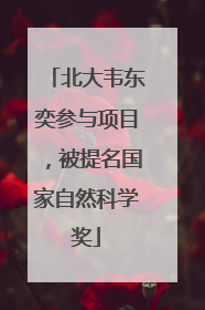 北大韦东奕参与项目，被提名国家自然科学奖