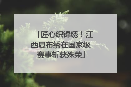 匠心织锦绣！江西夏布绣在国家级赛事斩获殊荣