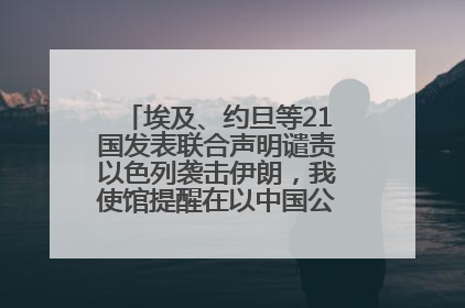 埃及、约旦等21国发表联合声明谴责以色列袭击伊朗，我使馆提醒在以中国公民尽快陆路离境