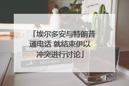埃尔多安与特朗普通电话 就结束伊以冲突进行讨论