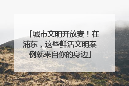 城市文明开放麦！在浦东，这些鲜活文明案例就来自你的身边
