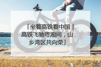 坐着高铁看中国｜高铁飞驰粤湘间，山乡湾区共向荣