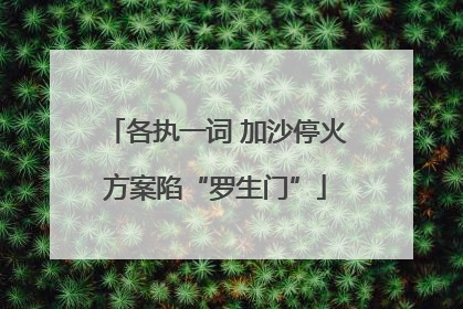各执一词 加沙停火方案陷“罗生门”